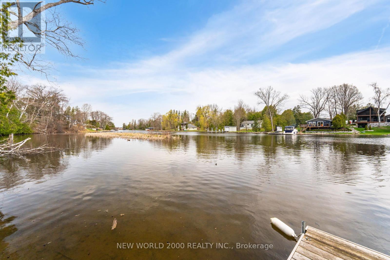 4 Chambers Lane, Georgina, Ontario  L0E 1N0 - Photo 17 - N12122521