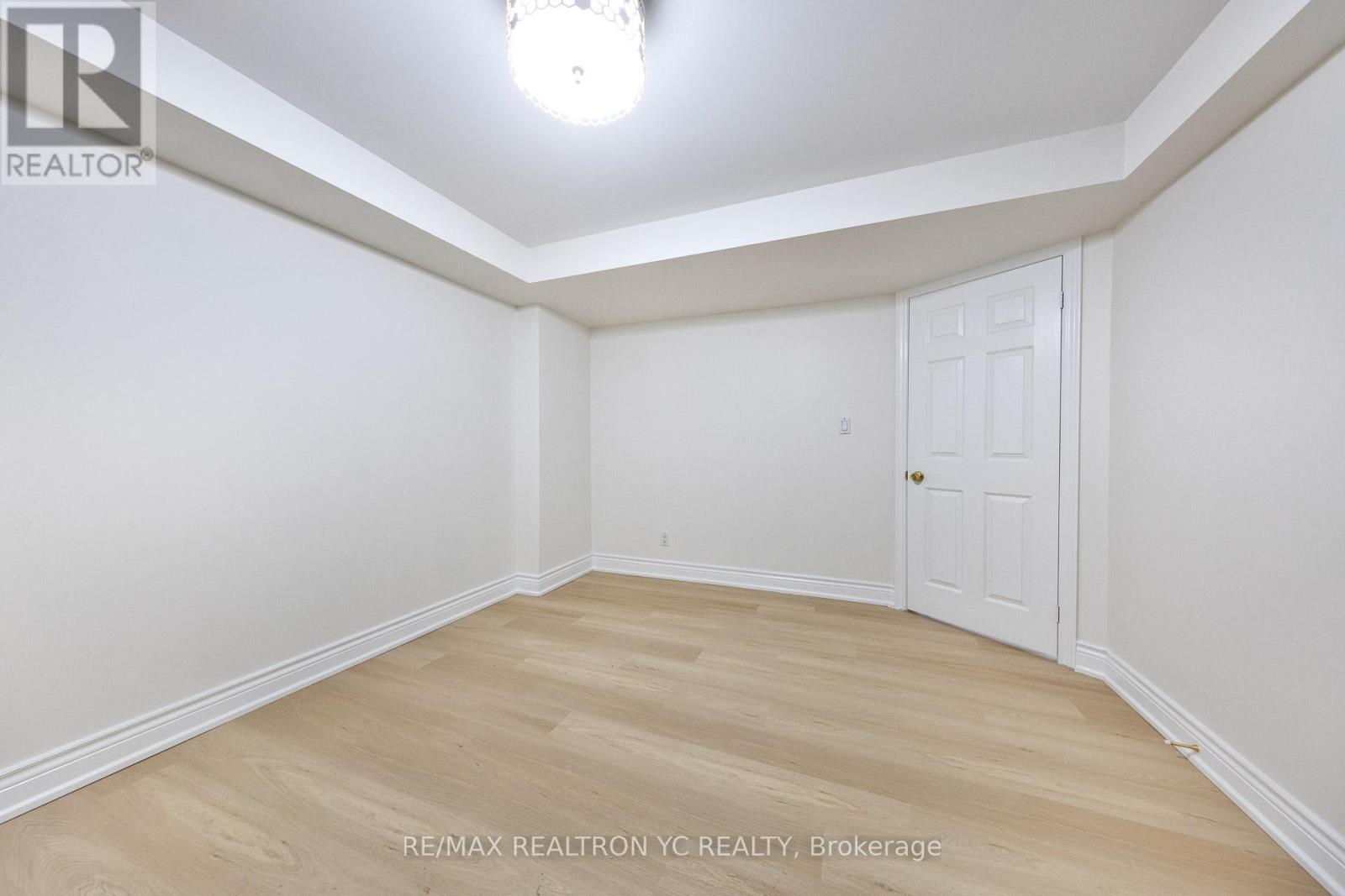 Bsmt - 131 Silver Linden Drive, Richmond Hill, Ontario  L4B 3T2 - Photo 14 - N12122526