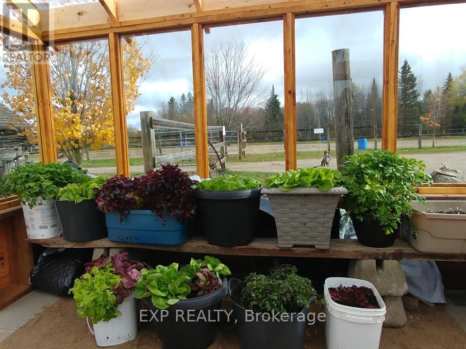 239 East Lake Road, Hastings Highlands, Ontario  K0L 2S0 - Photo 30 - X12122602