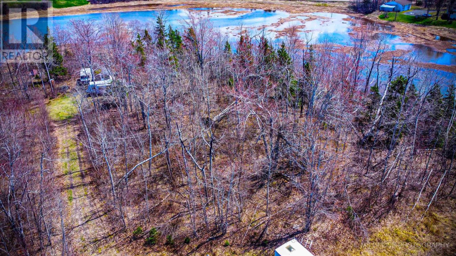 Highway 6, Waldegrave, Nova Scotia  B0K 1V0 - Photo 24 - 202509223