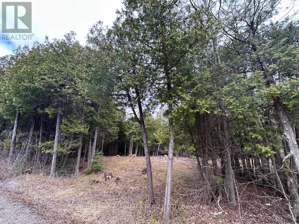 00 Snowdons Corners Road, Merrickville-Wolford, Ontario  K0G 1N0 - Photo 2 - X12122675
