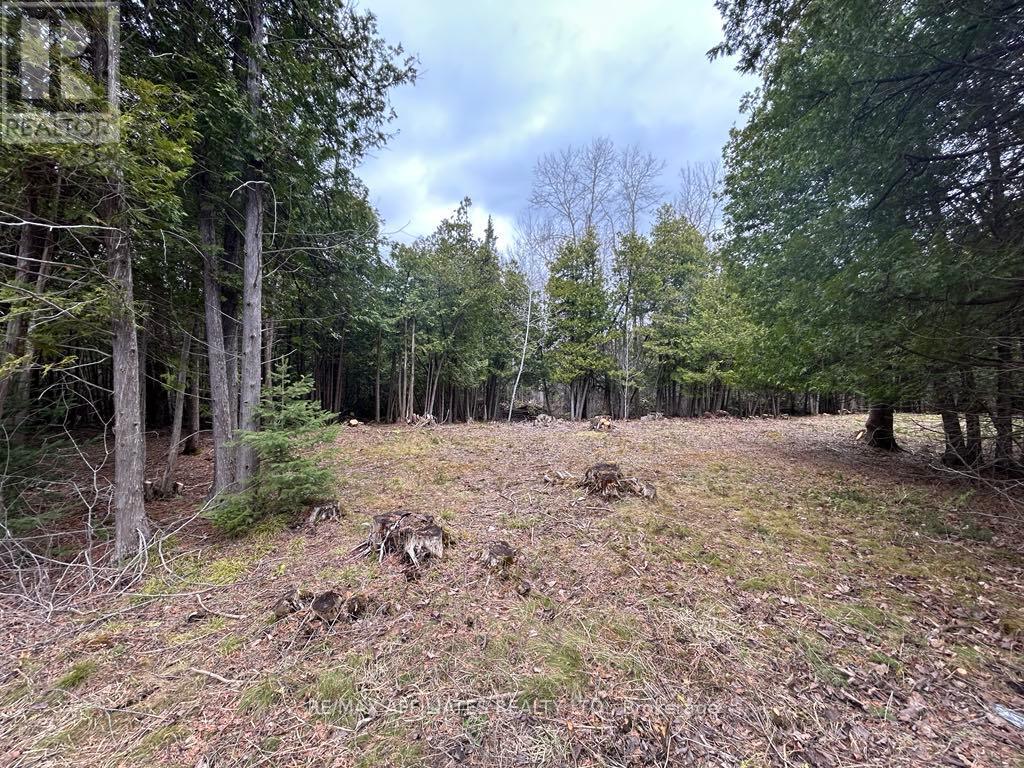 00 Snowdons Corners Road, Merrickville-Wolford, Ontario  K0G 1N0 - Photo 3 - X12122675
