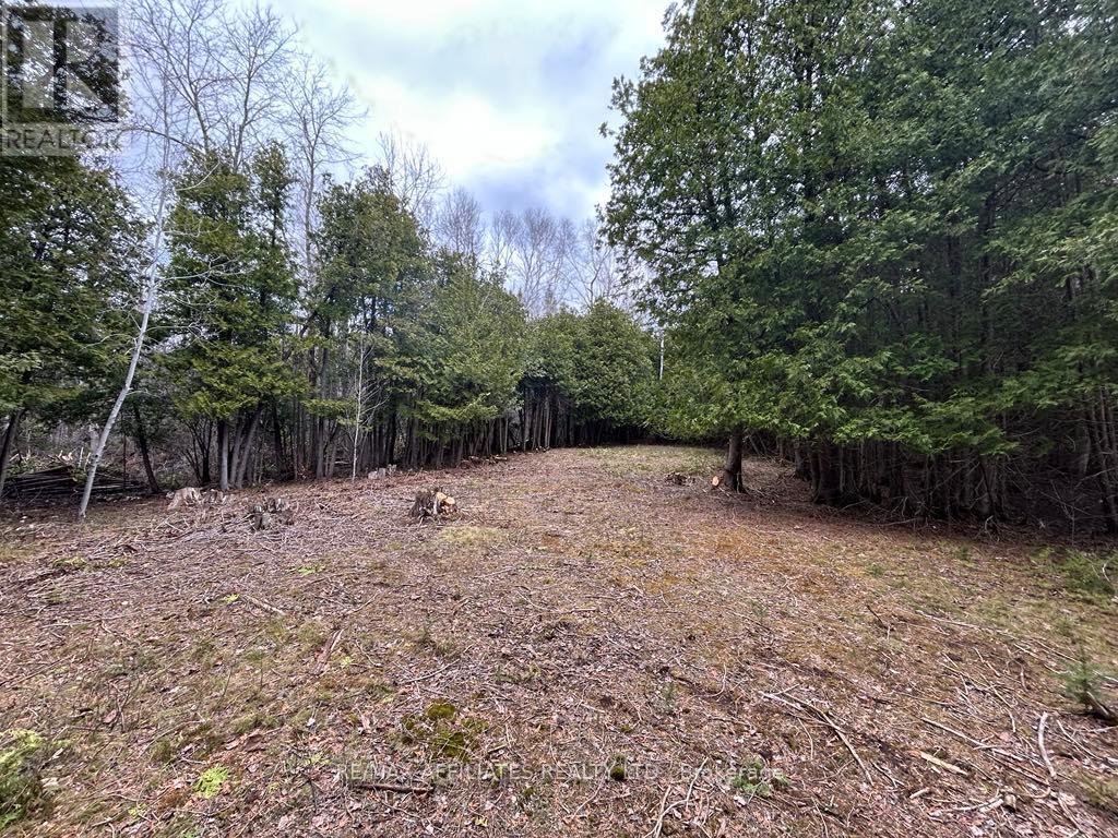 00 Snowdons Corners Road, Merrickville-Wolford, Ontario  K0G 1N0 - Photo 5 - X12122675