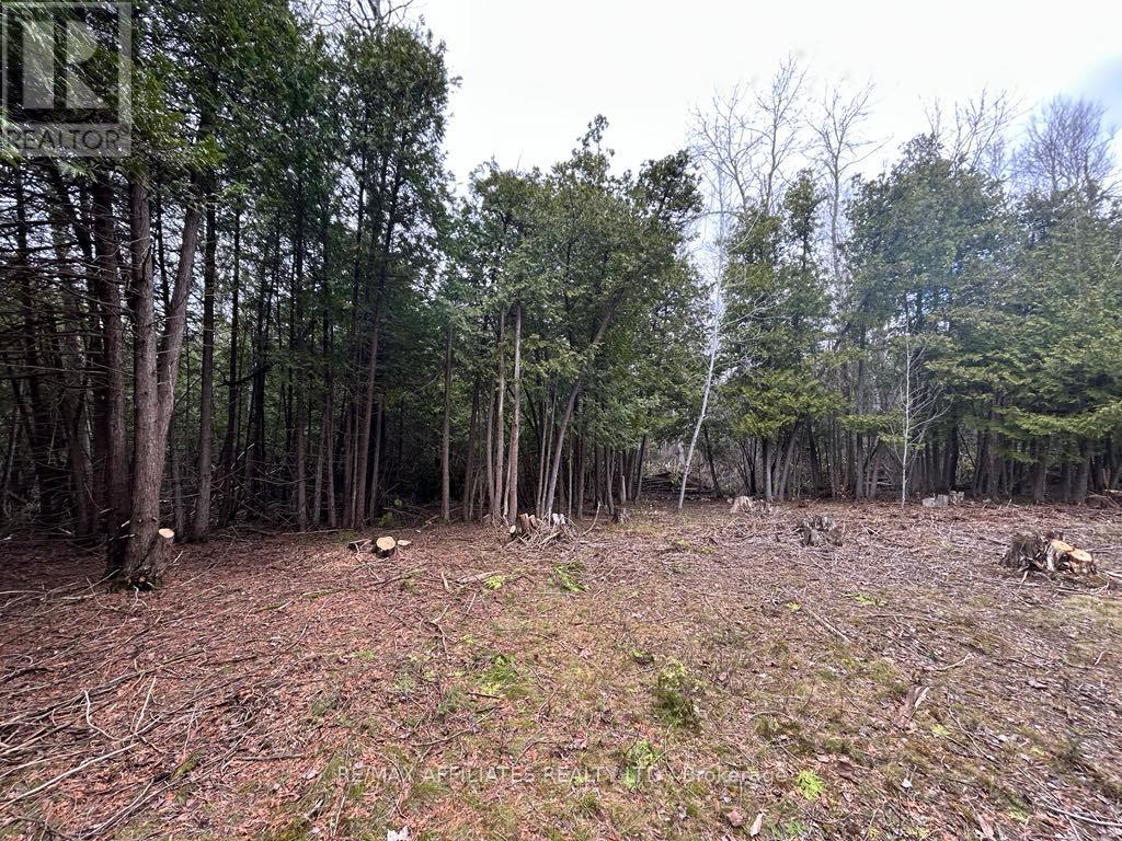 00 Snowdons Corners Road, Merrickville-Wolford, Ontario  K0G 1N0 - Photo 6 - X12122675