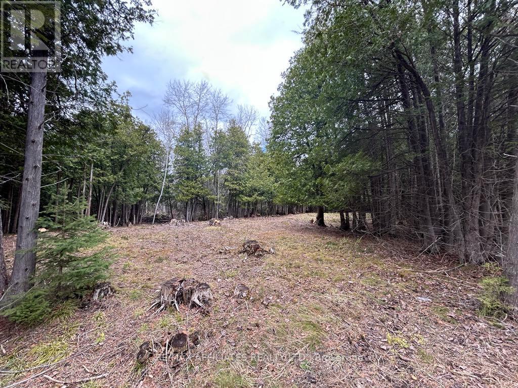 00 Snowdons Corners Road, Merrickville-Wolford, Ontario  K0G 1N0 - Photo 7 - X12122675