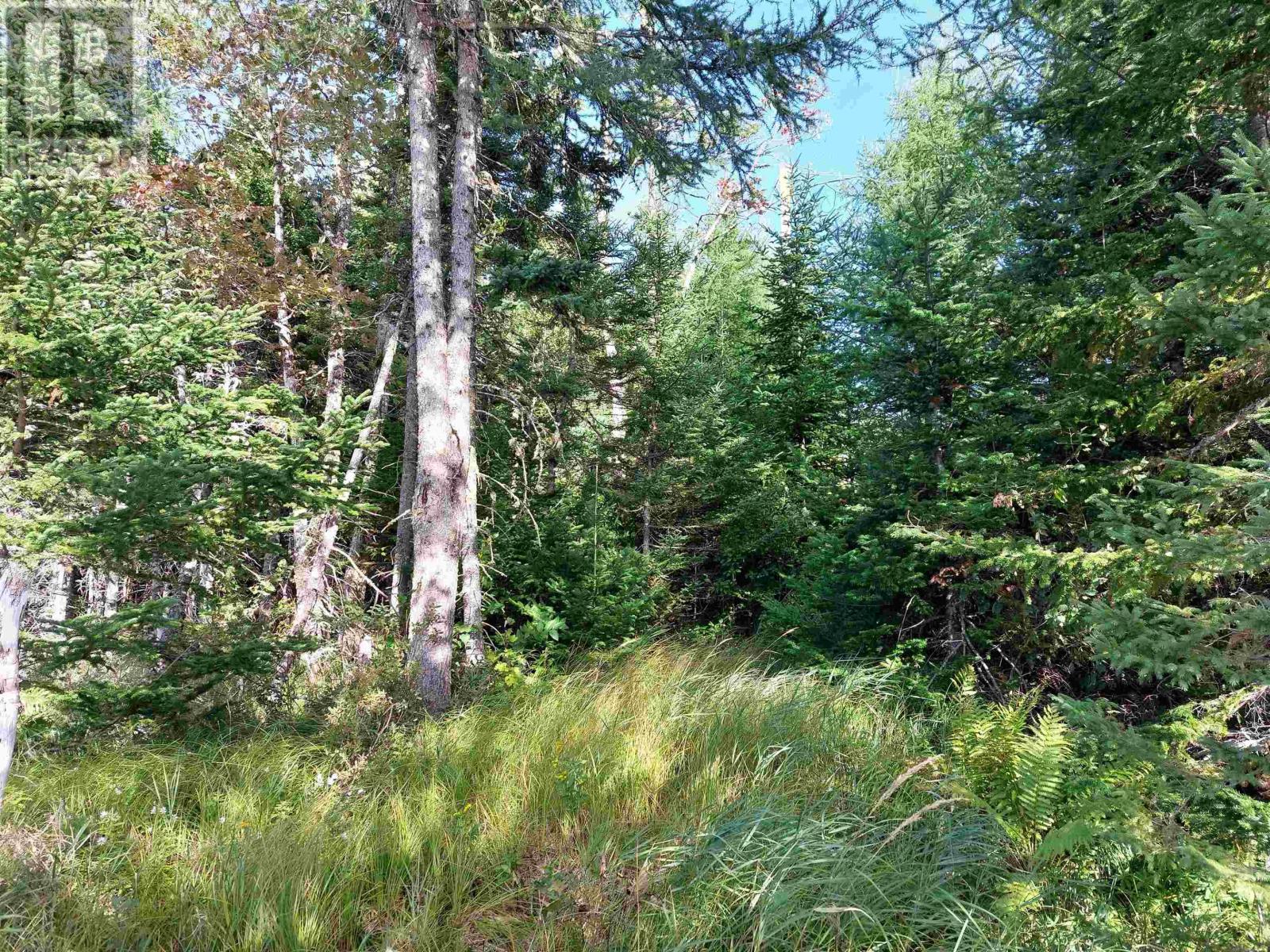 125 Doris Lane, Kempt Road, Nova Scotia  B0E 1J0 - Photo 11 - 202505591