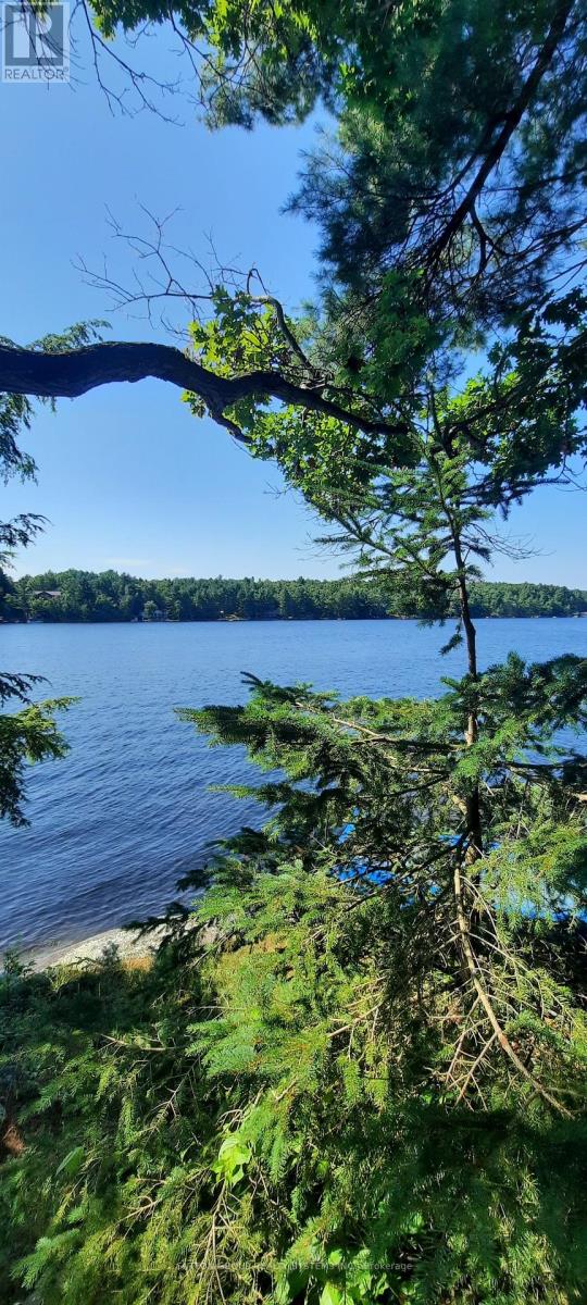 361 Healey Lake Water, The Archipelago, Ontario  P0C 1H0 - Photo 30 - X12122834