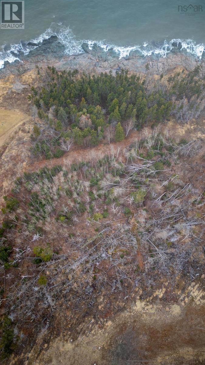 Lot 10-2 337 Highway, Morar, Nova Scotia  B2G 2L1 - Photo 8 - 202506911