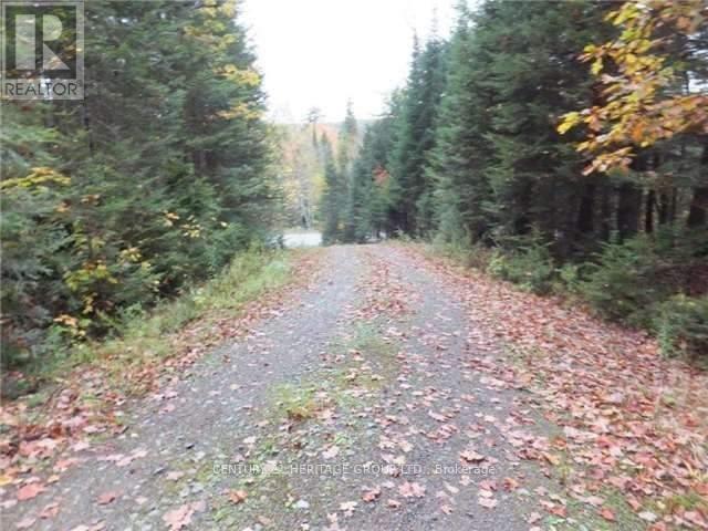 1646 Kennisis Lake Road, Dysart Et Al, Ontario  K0L 1S0 - Photo 2 - X12123055