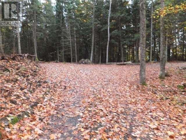 1646 Kennisis Lake Road, Dysart Et Al, Ontario  K0L 1S0 - Photo 3 - X12123055
