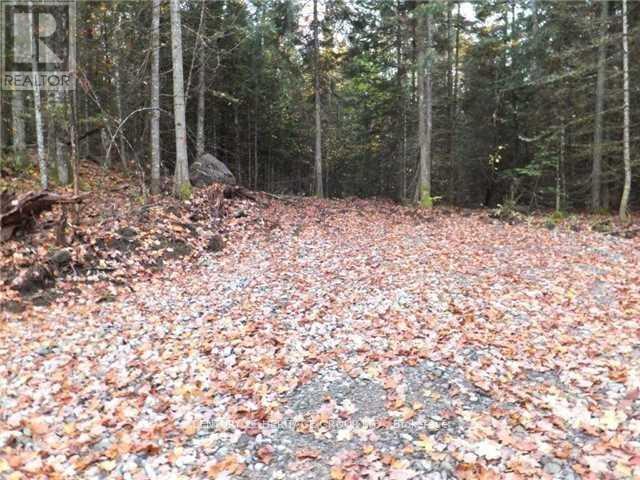 1646 Kennisis Lake Road, Dysart Et Al, Ontario  K0L 1S0 - Photo 4 - X12123055