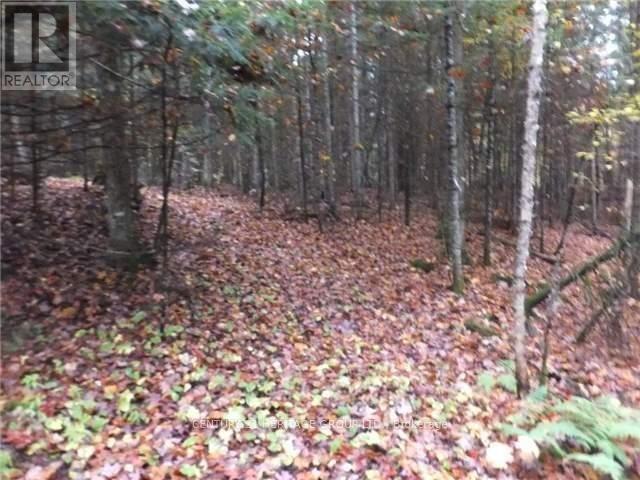 1646 Kennisis Lake Road, Dysart Et Al, Ontario  K0L 1S0 - Photo 5 - X12123055