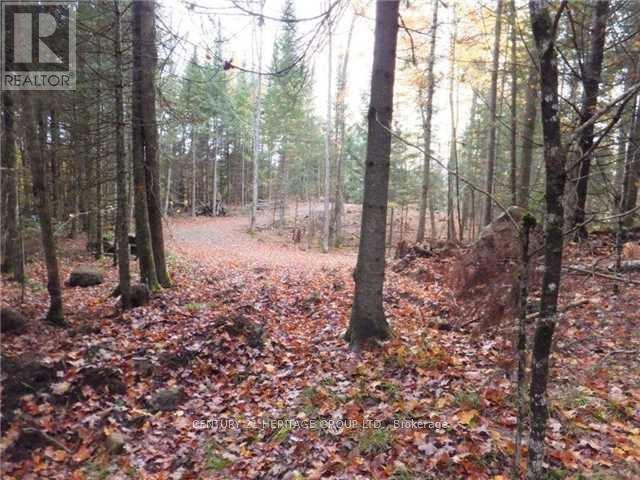 1646 Kennisis Lake Road, Dysart Et Al, Ontario  K0L 1S0 - Photo 7 - X12123055