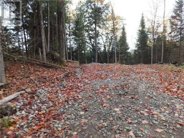 1646 Kennisis Lake Road, Dysart Et Al, Ontario  K0L 1S0 - Photo 8 - X12123055