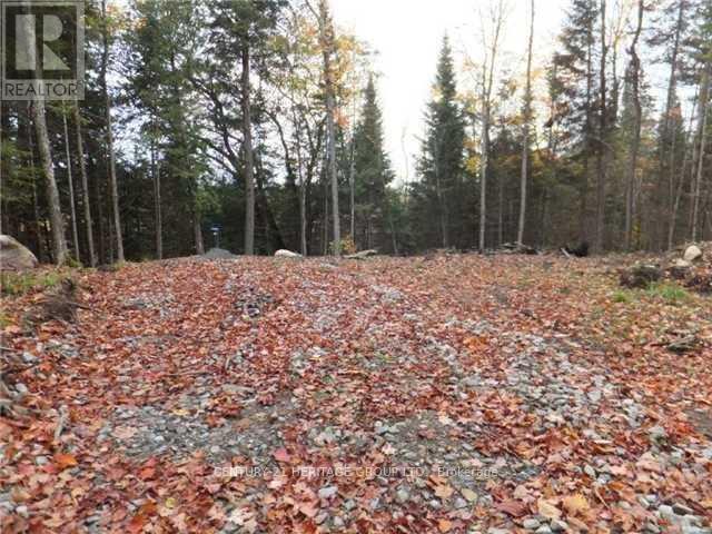 1646 Kennisis Lake Road, Dysart Et Al, Ontario  K0L 1S0 - Photo 9 - X12123055