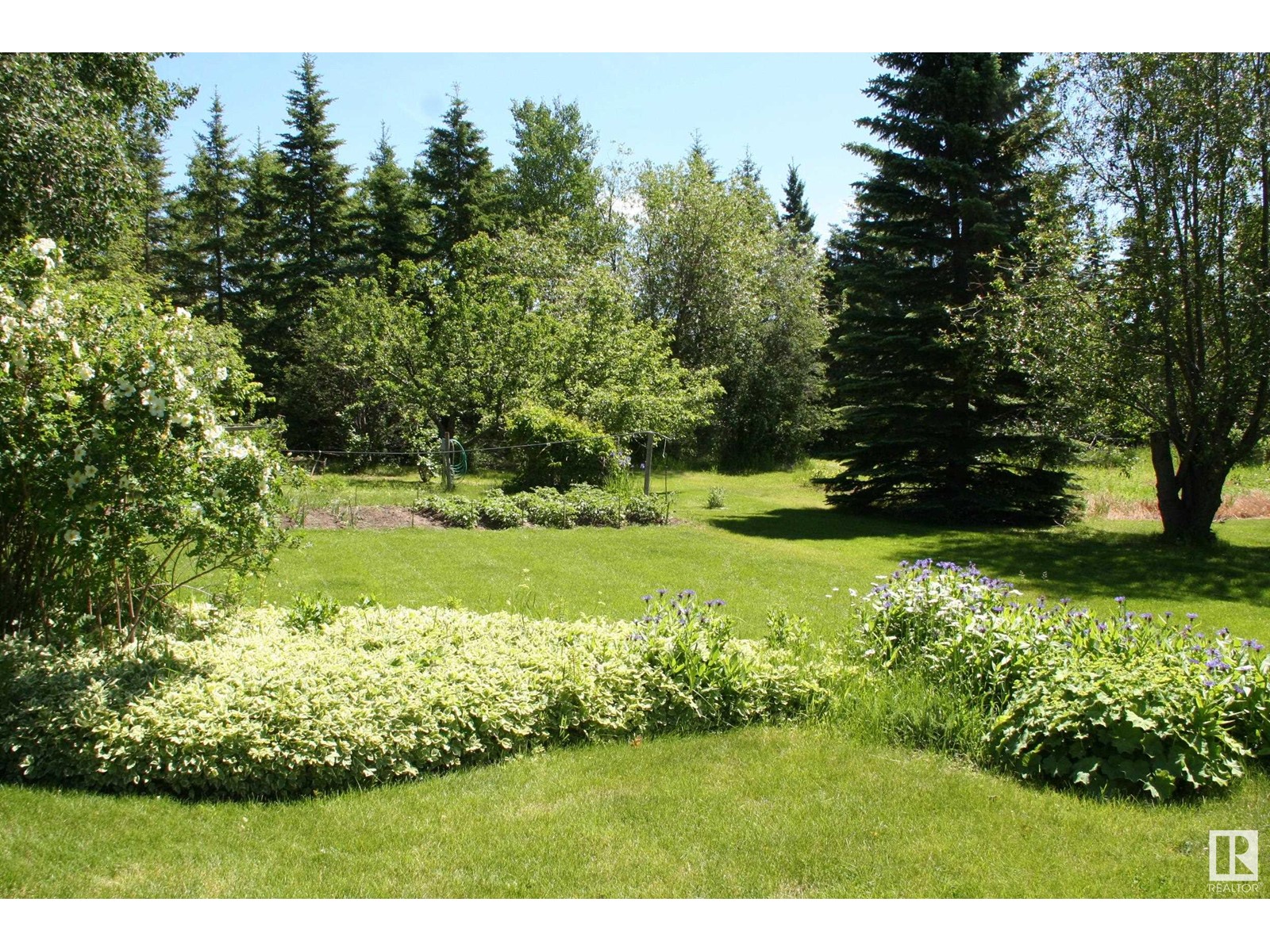 5302 32 St, Rural Wetaskiwin County, Alberta  T0C 2C0 - Photo 7 - E4434441