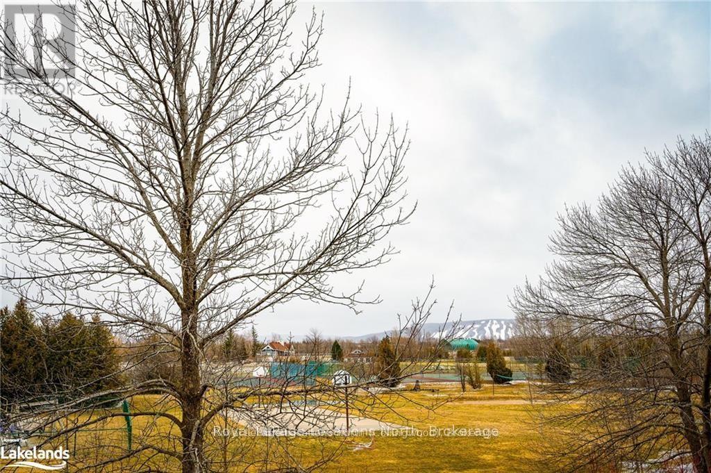 470 Oxbow Crescent, Collingwood, Ontario  L9Y 5B4 - Photo 46 - S12123087