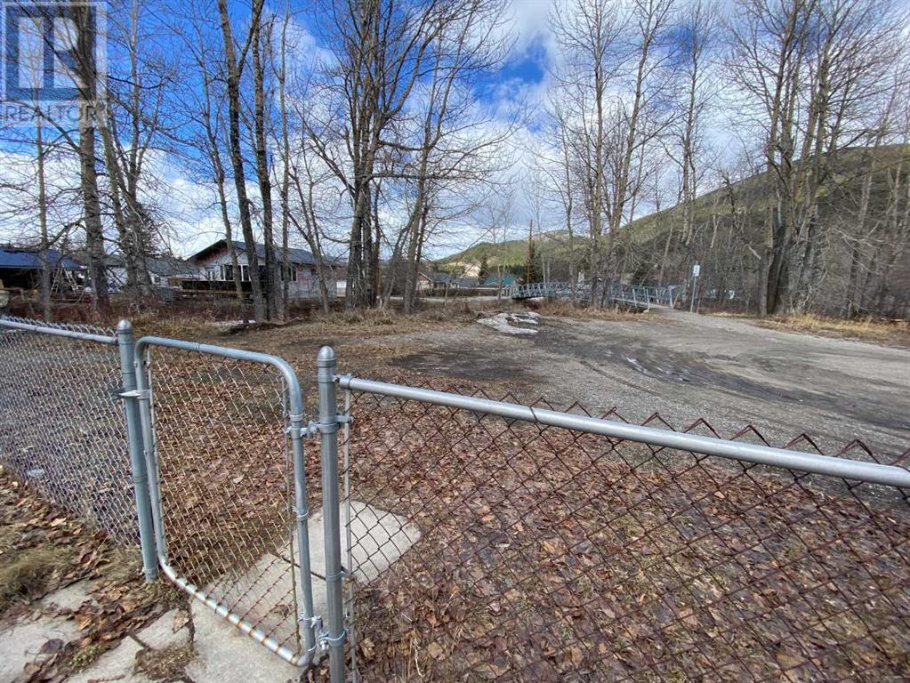 13101 16 Avenue, Blairmore, Alberta  T0K 0E0 - Photo 4 - A2210945