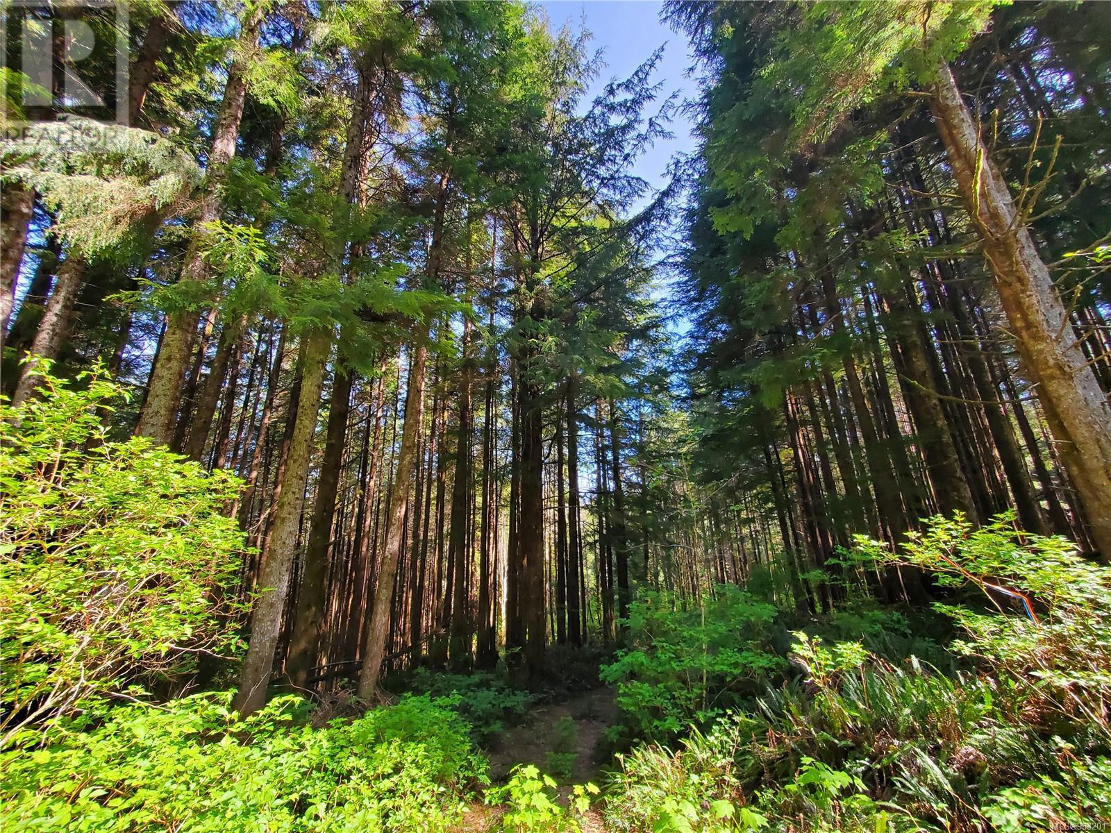 Sl 3 Kvarno Island, Ucluelet, British Columbia  V0R 3A0 - Photo 3 - 983201