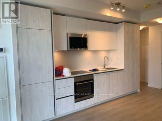 3501 - 8 Widmer Street, Toronto, Ontario  M5V 2E7 - Photo 17 - C12123127