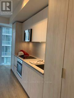 3501 - 8 Widmer Street, Toronto, Ontario  M5V 2E7 - Photo 8 - C12123127