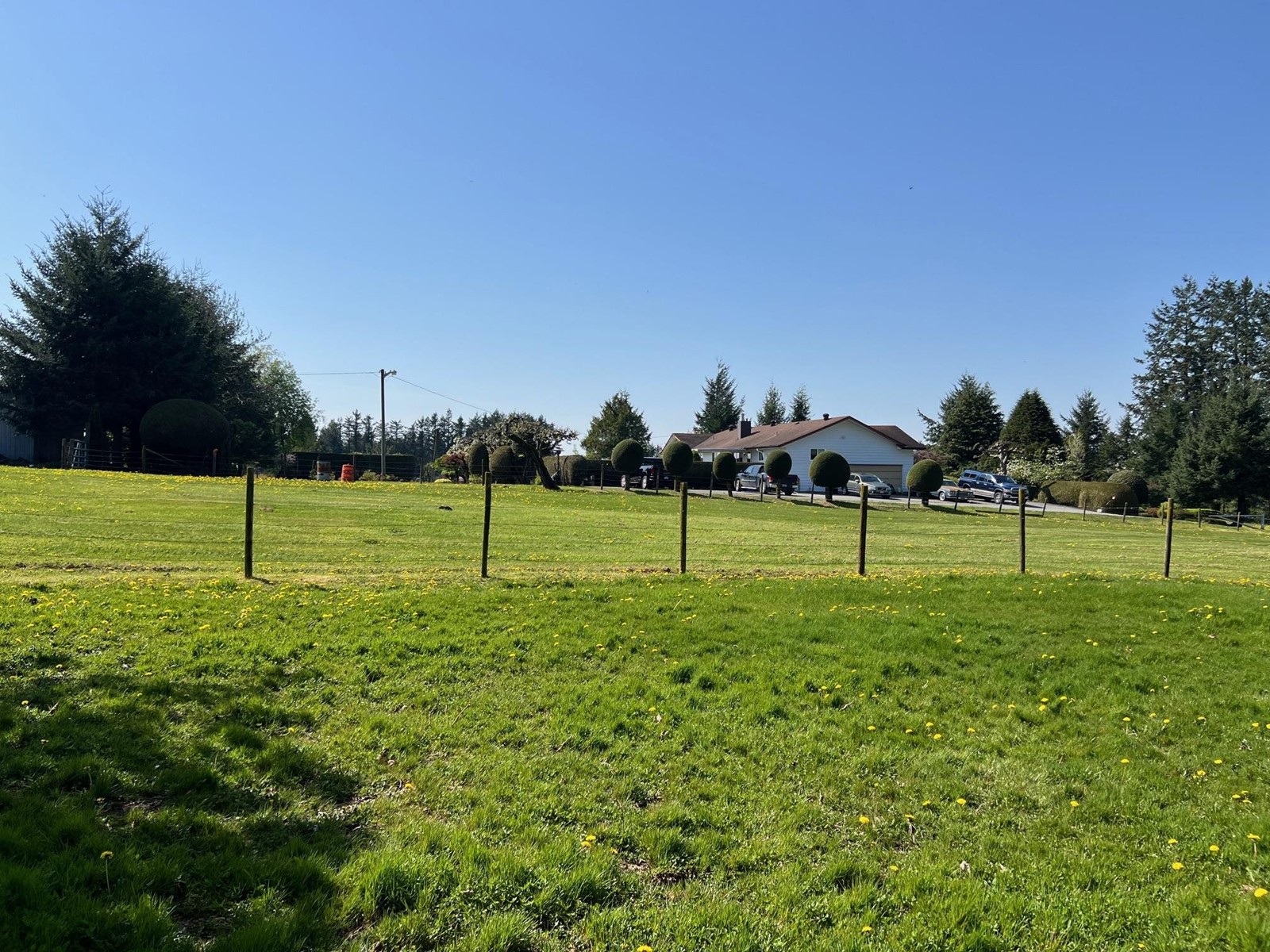 Property at 29224 DOWNES ROAD image 2
