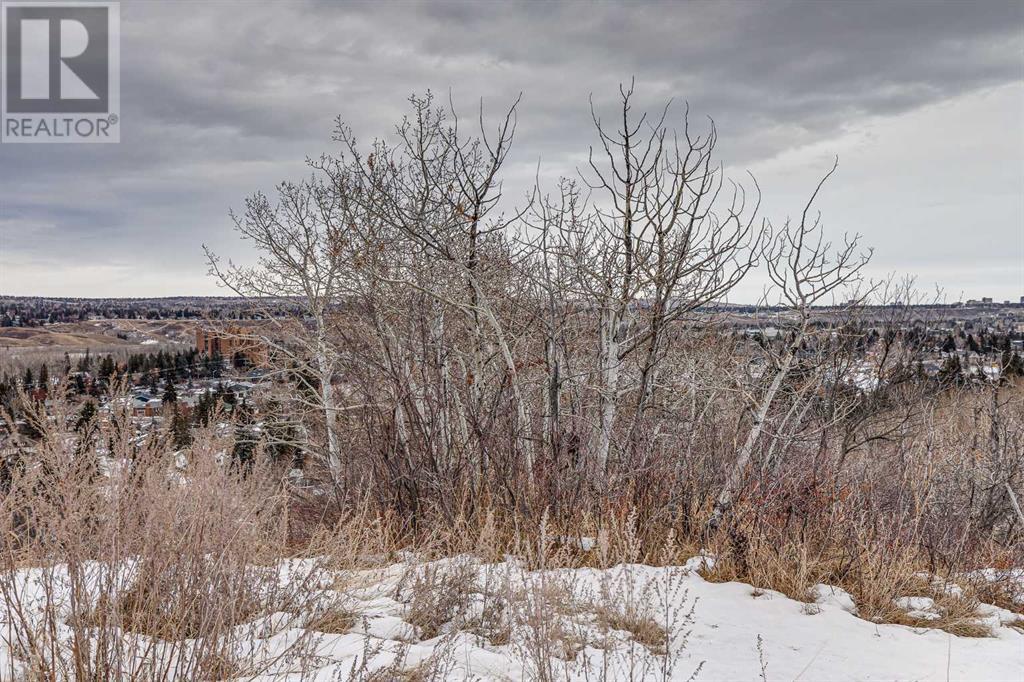 442, 3223 83 Street Nw, Calgary, Alberta  T3B 5P3 - Photo 30 - A2187873