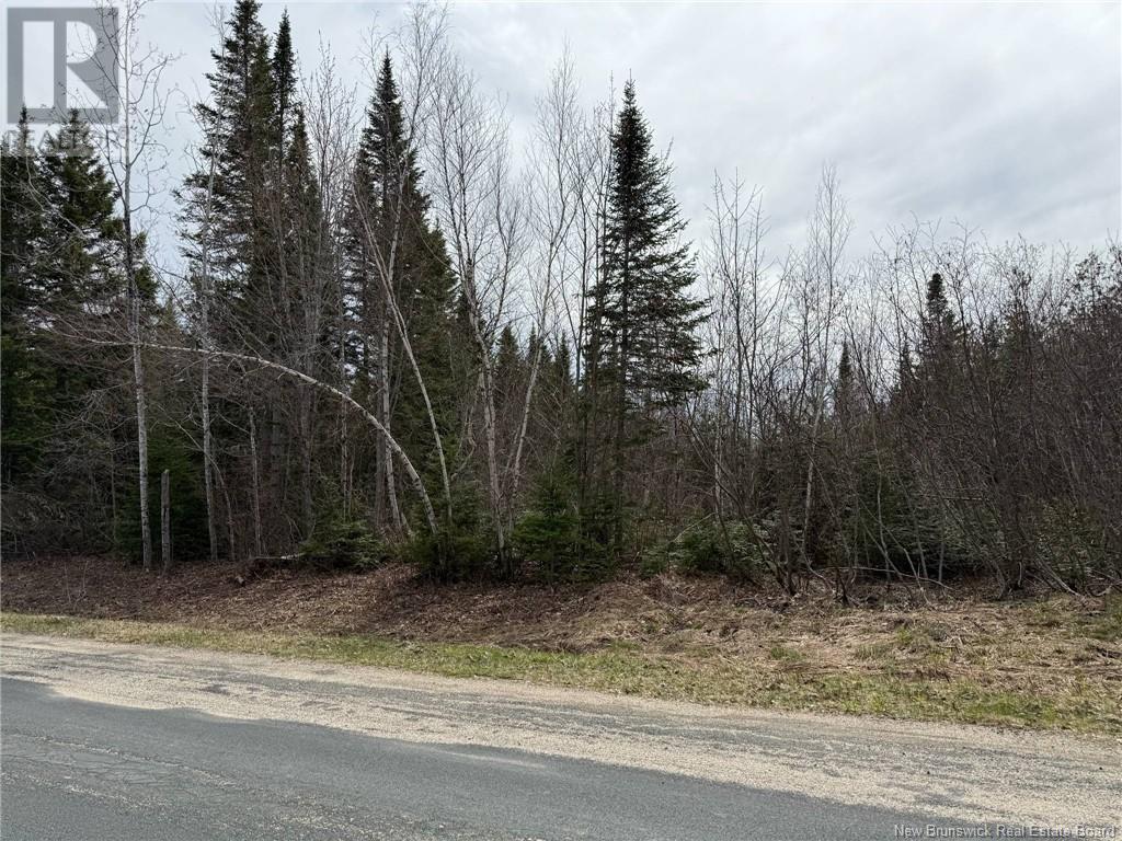 Lot 98-1 Parker Road, Williamstown, New Brunswick