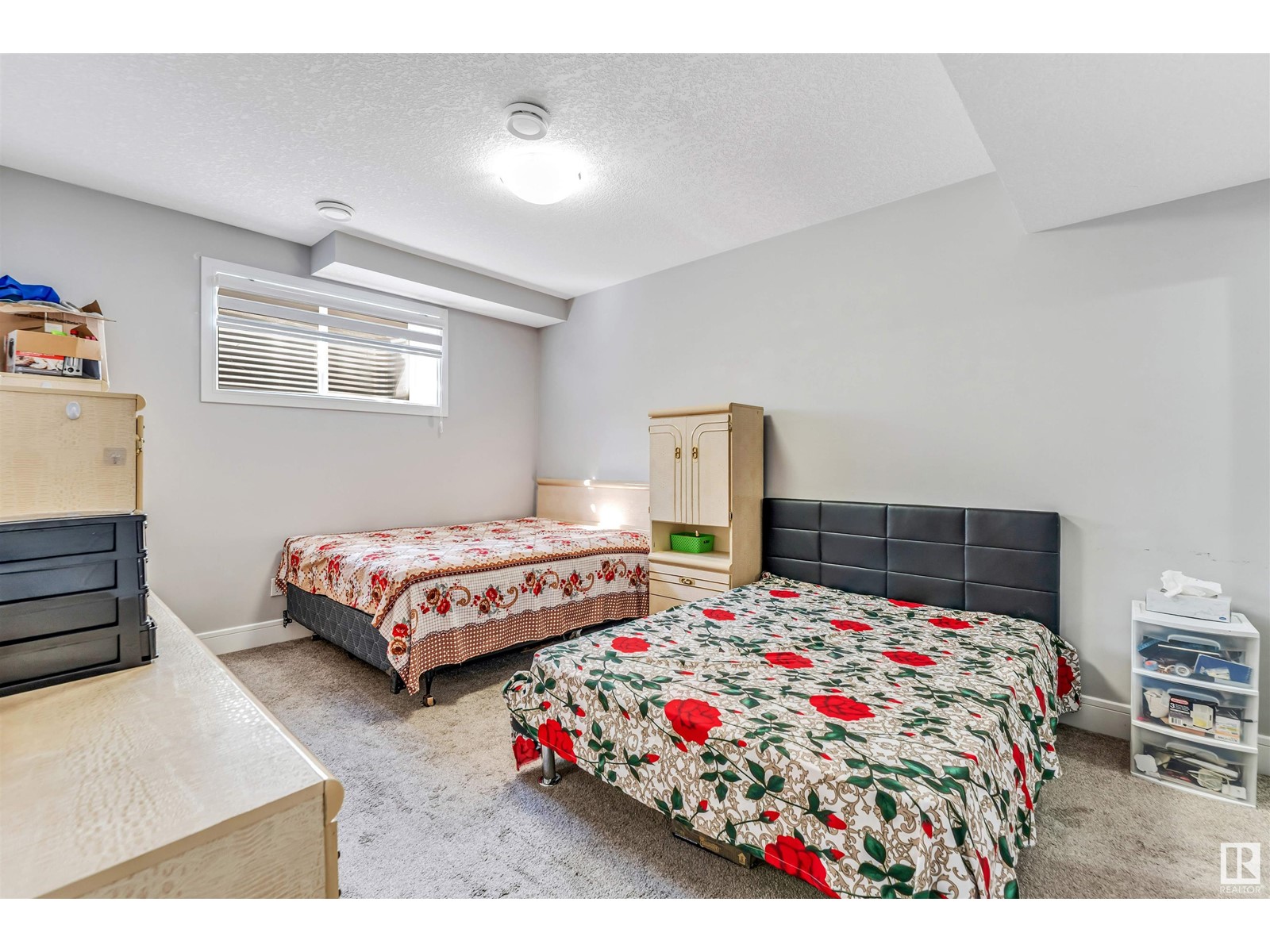 13055 165 Av Nw Nw, Edmonton, Alberta  T6V 0G1 - Photo 49 - E4434459