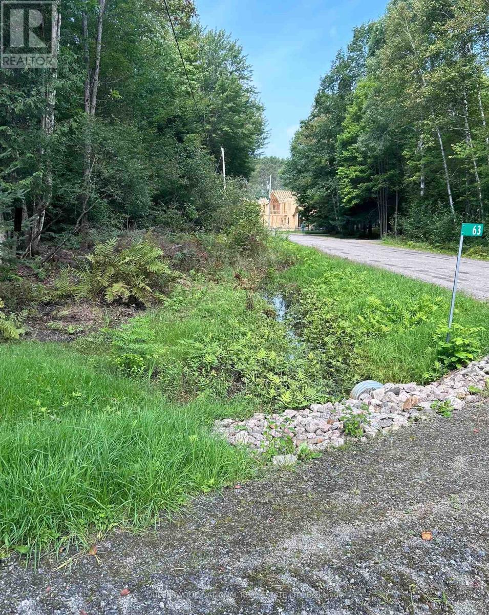 63 Annie Mayhew Road, Madawaska Valley, Ontario  K0J 1L0 - Photo 3 - X12123328