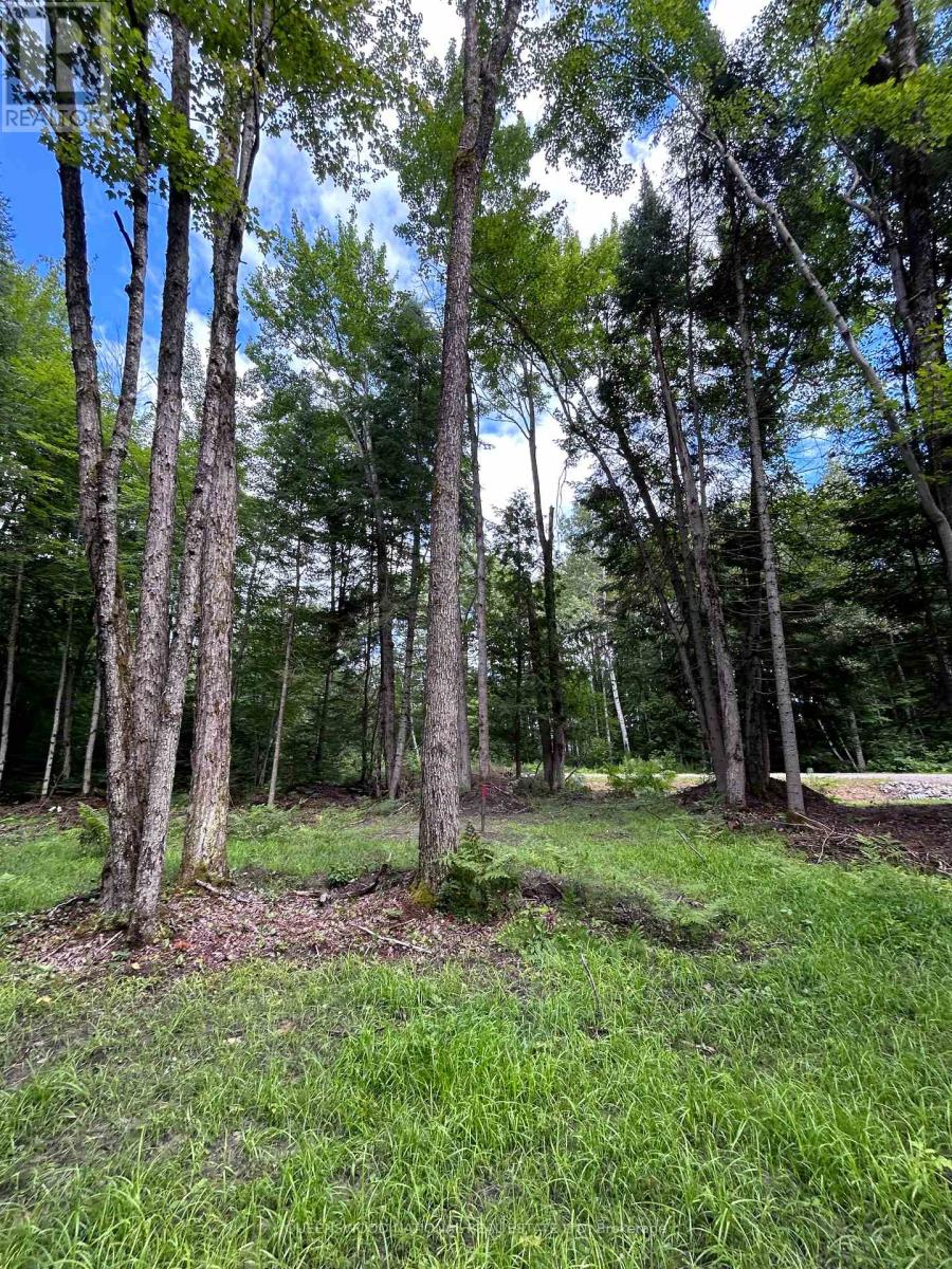 63 Annie Mayhew Road, Madawaska Valley, Ontario  K0J 1L0 - Photo 7 - X12123328