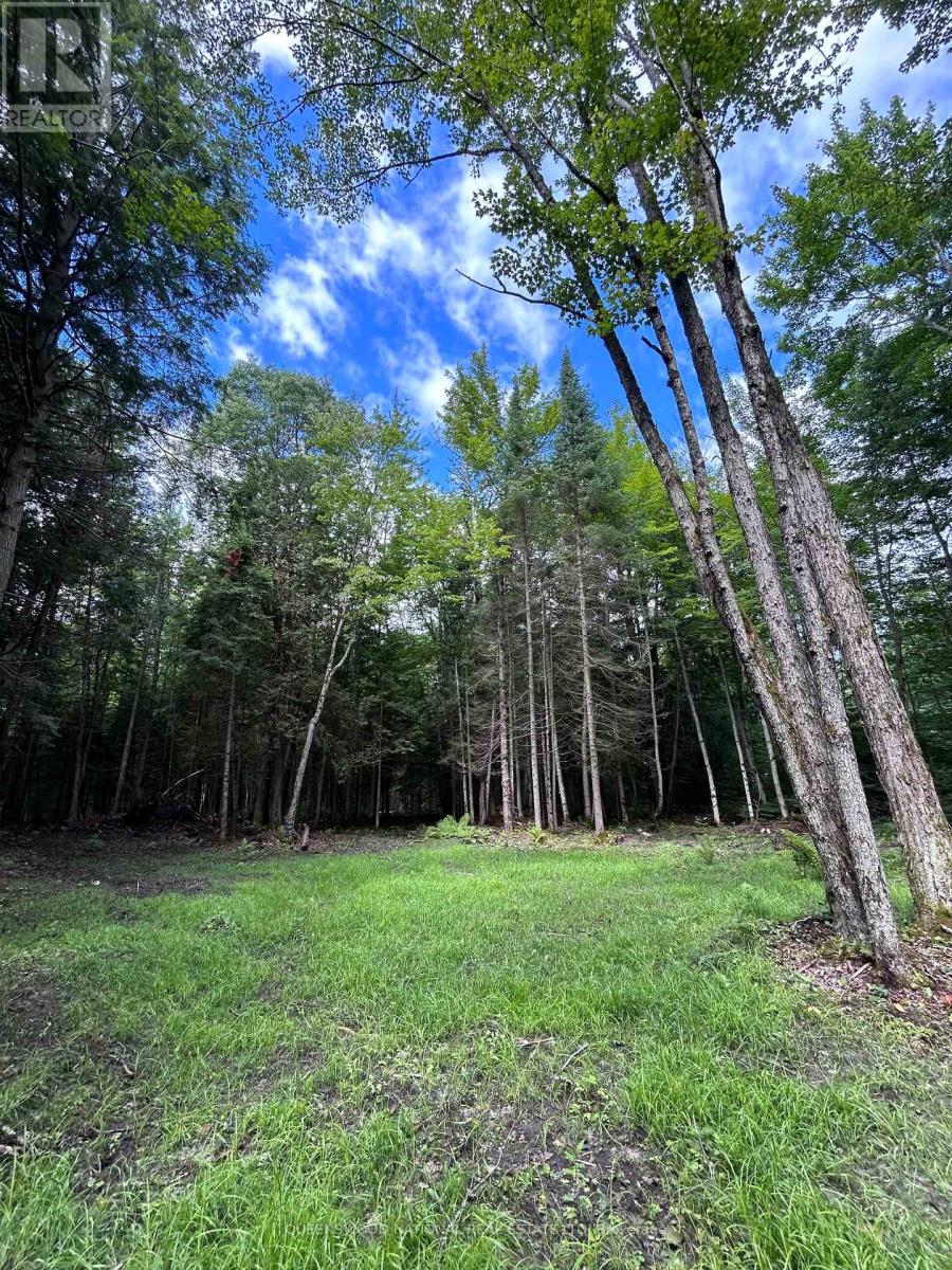 63 Annie Mayhew Road, Madawaska Valley, Ontario  K0J 1L0 - Photo 8 - X12123328