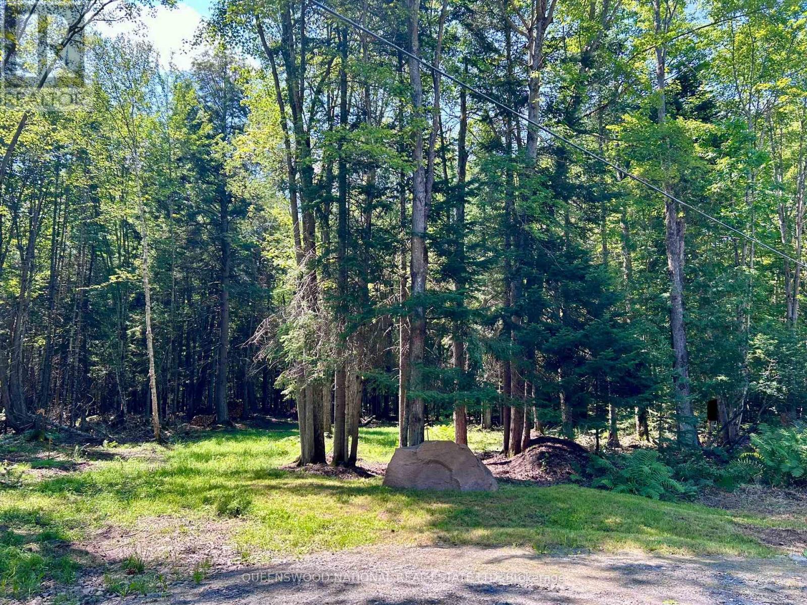 63 Annie Mayhew Road, Madawaska Valley, Ontario  K0J 1L0 - Photo 5 - X12123328