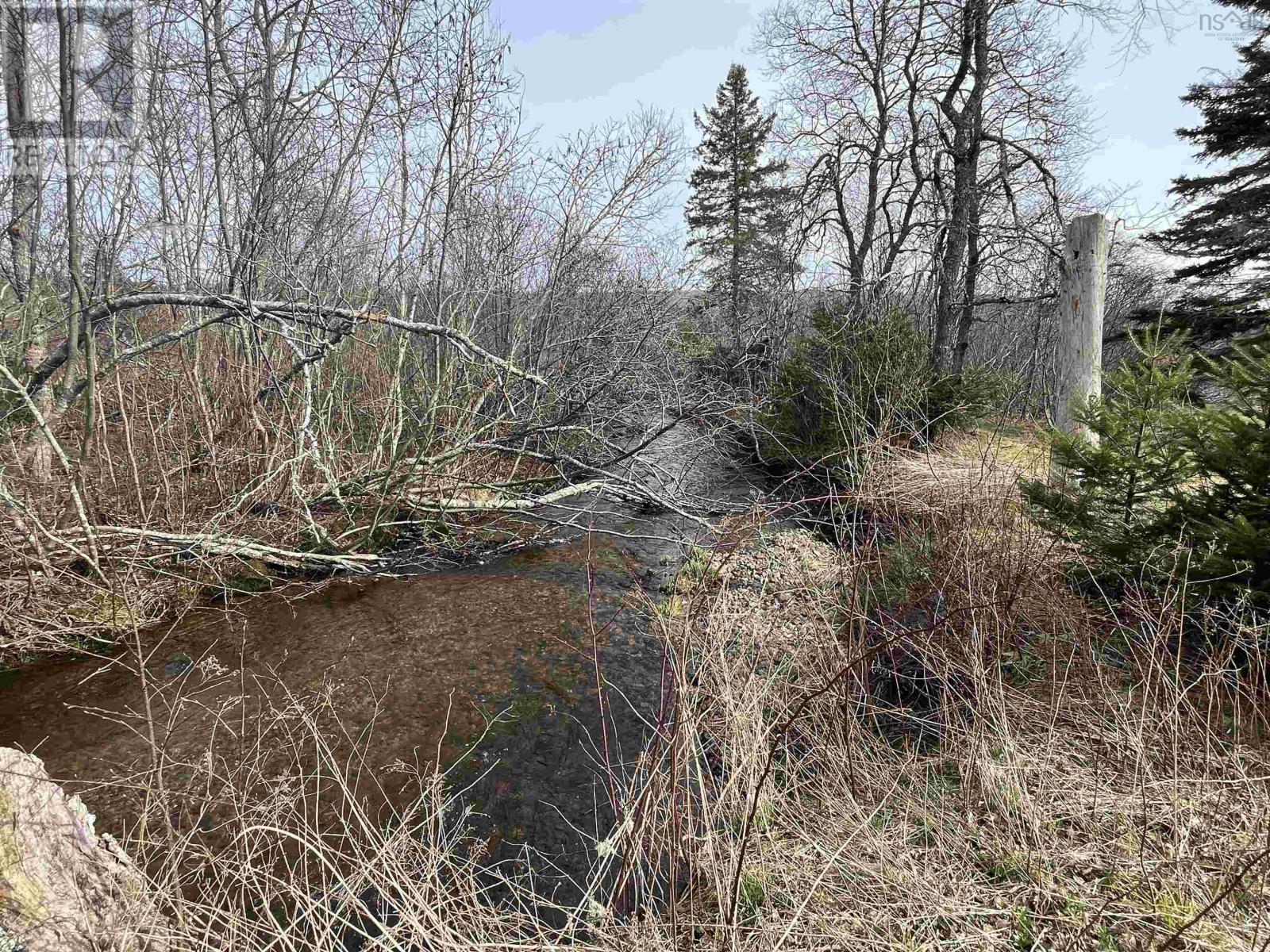 510 Green Settlement Road, Black Brook, Nova Scotia  B2H 5C8 - Photo 24 - 202507451