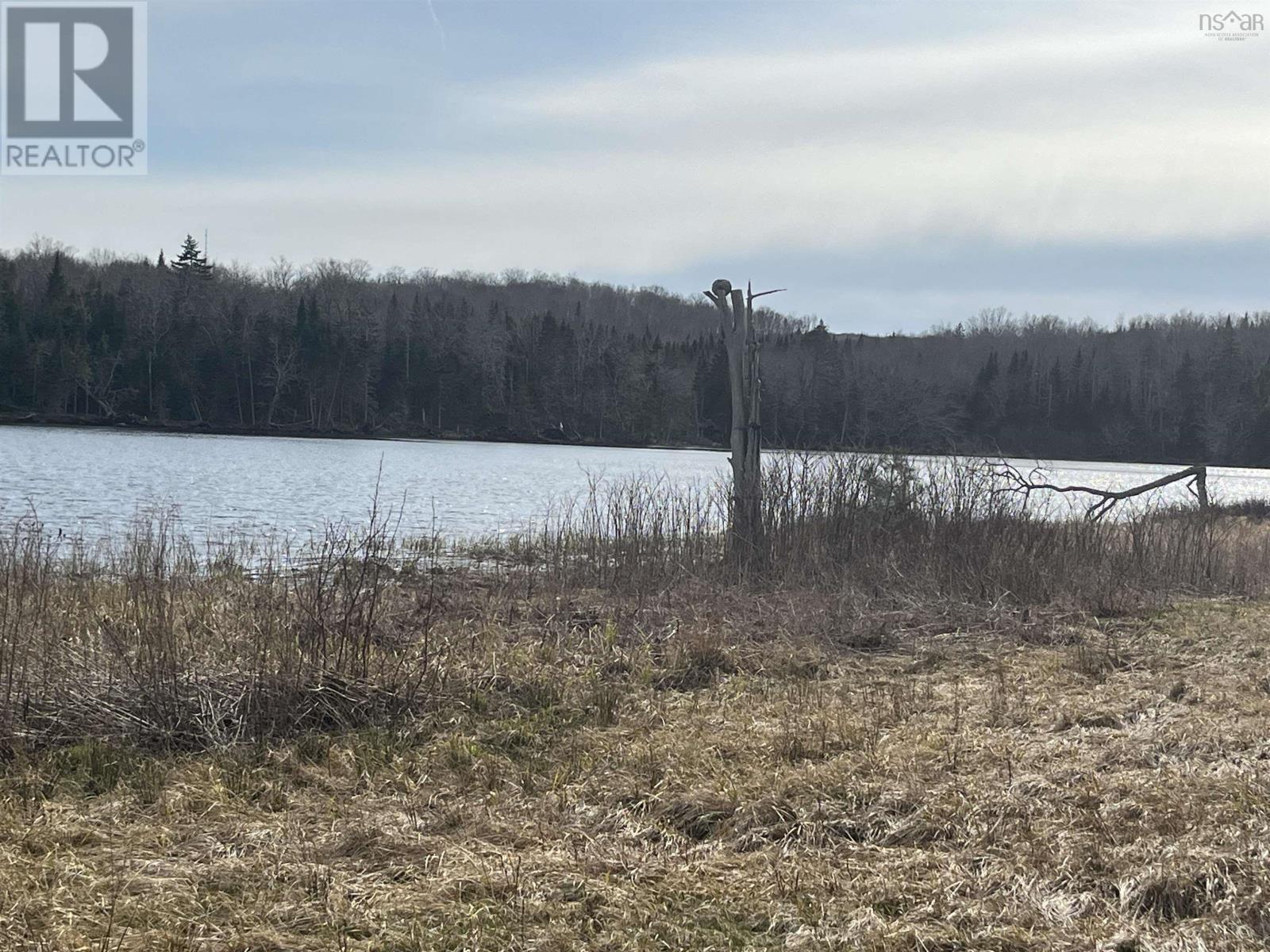 510 Green Settlement Road, Black Brook, Nova Scotia  B2H 5C8 - Photo 5 - 202507451