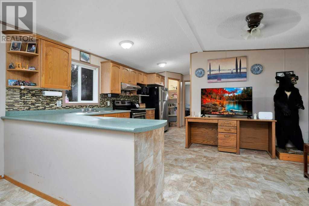 410 Bourbon Avenue, Winfield, Alberta  T0C 2X0 - Photo 9 - A2217730