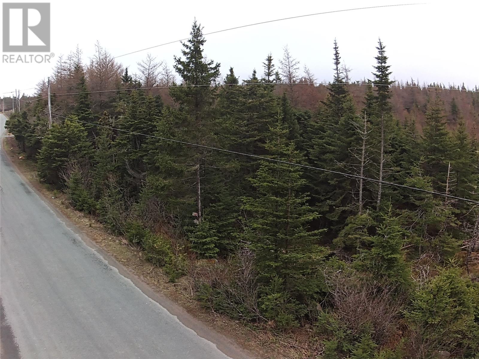 56 Ridge Road, Holyrood, Newfoundland & Labrador  A0A 2R0 - Photo 4 - 1284561