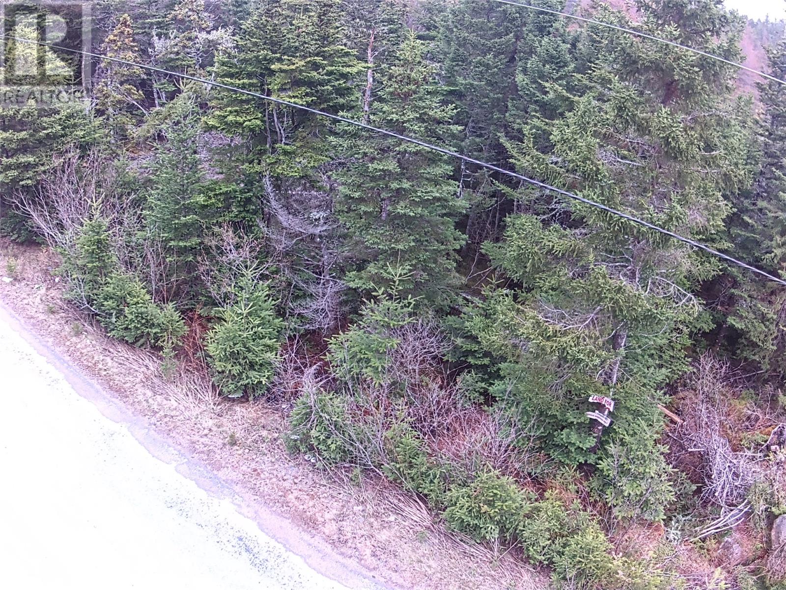 54 Ridge Road, Holyrood, Newfoundland & Labrador  A0A 2R0 - Photo 33 - 1284560