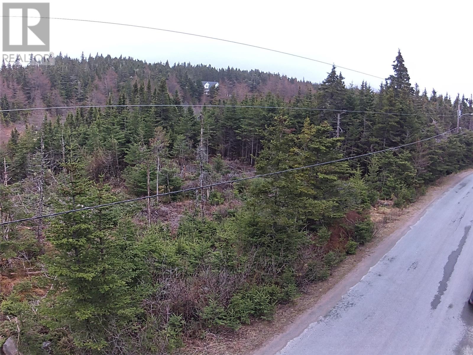 54 Ridge Road, Holyrood, Newfoundland & Labrador  A0A 2R0 - Photo 35 - 1284560
