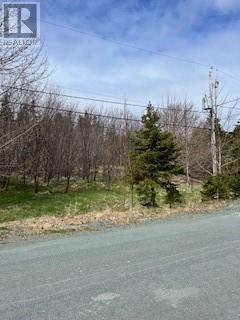 81-89 Town Circle, Pouch Cove, Newfoundland & Labrador  A0A 3L0 - Photo 4 - 1283953
