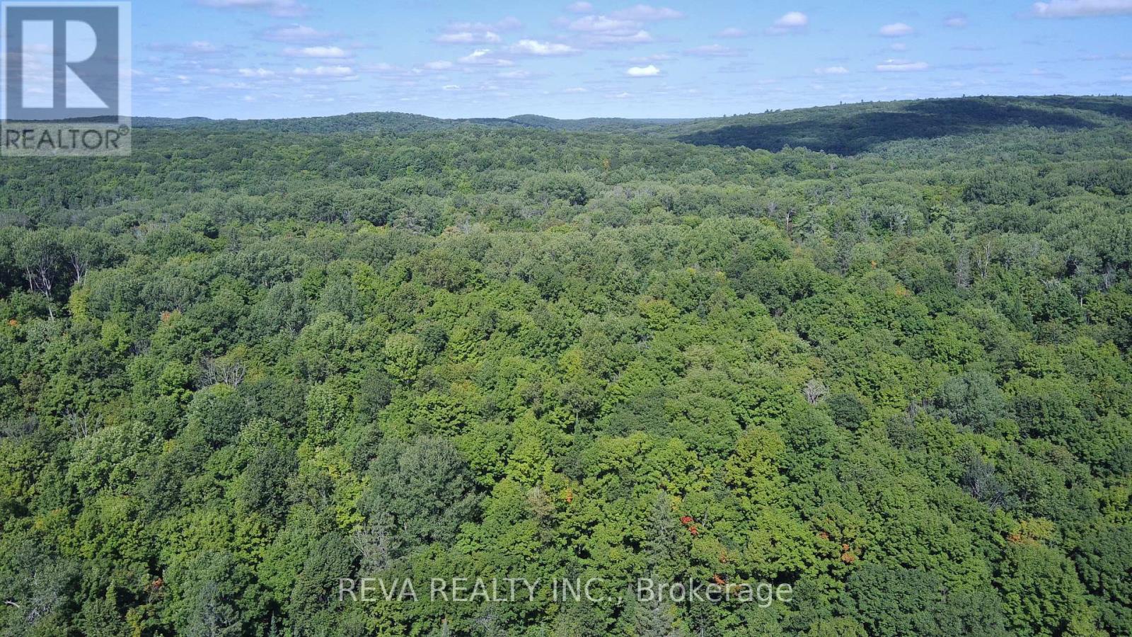 1173 Fortesque Lake Road, Highlands East, Ontario  K0M 1R0 - Photo 13 - X12033973