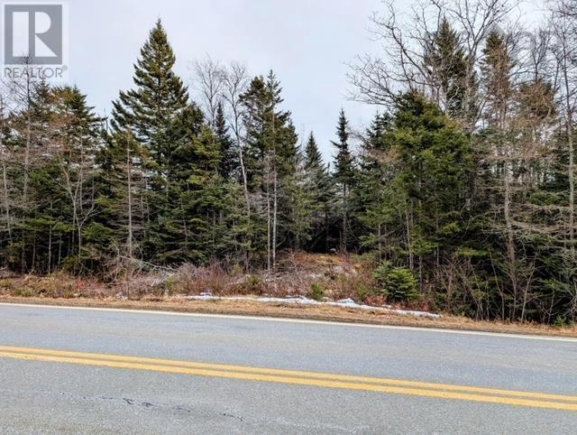 F3 Highway 331, Petite Rivière, Nova Scotia  B0J 1K3 - Photo 2 - 202502197
