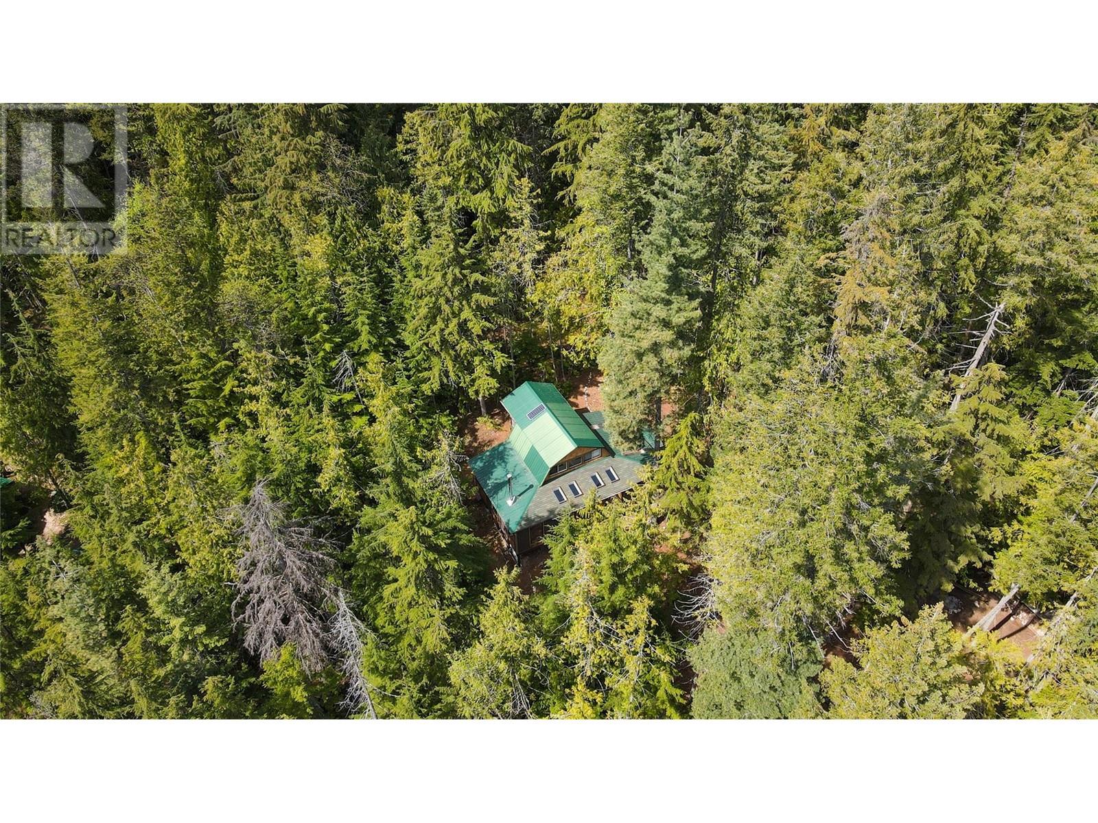 Lot 2 Slocan  Boat Access Lake, Slocan, British Columbia  V0G 2C0 - Photo 45 - 10345196