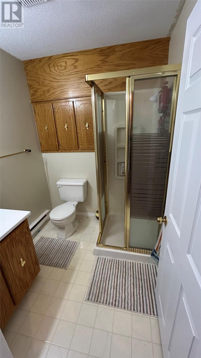 6 Shave Place, Stephenville, Newfoundland & Labrador  A2N 3R6 - Photo 21 - 1284520