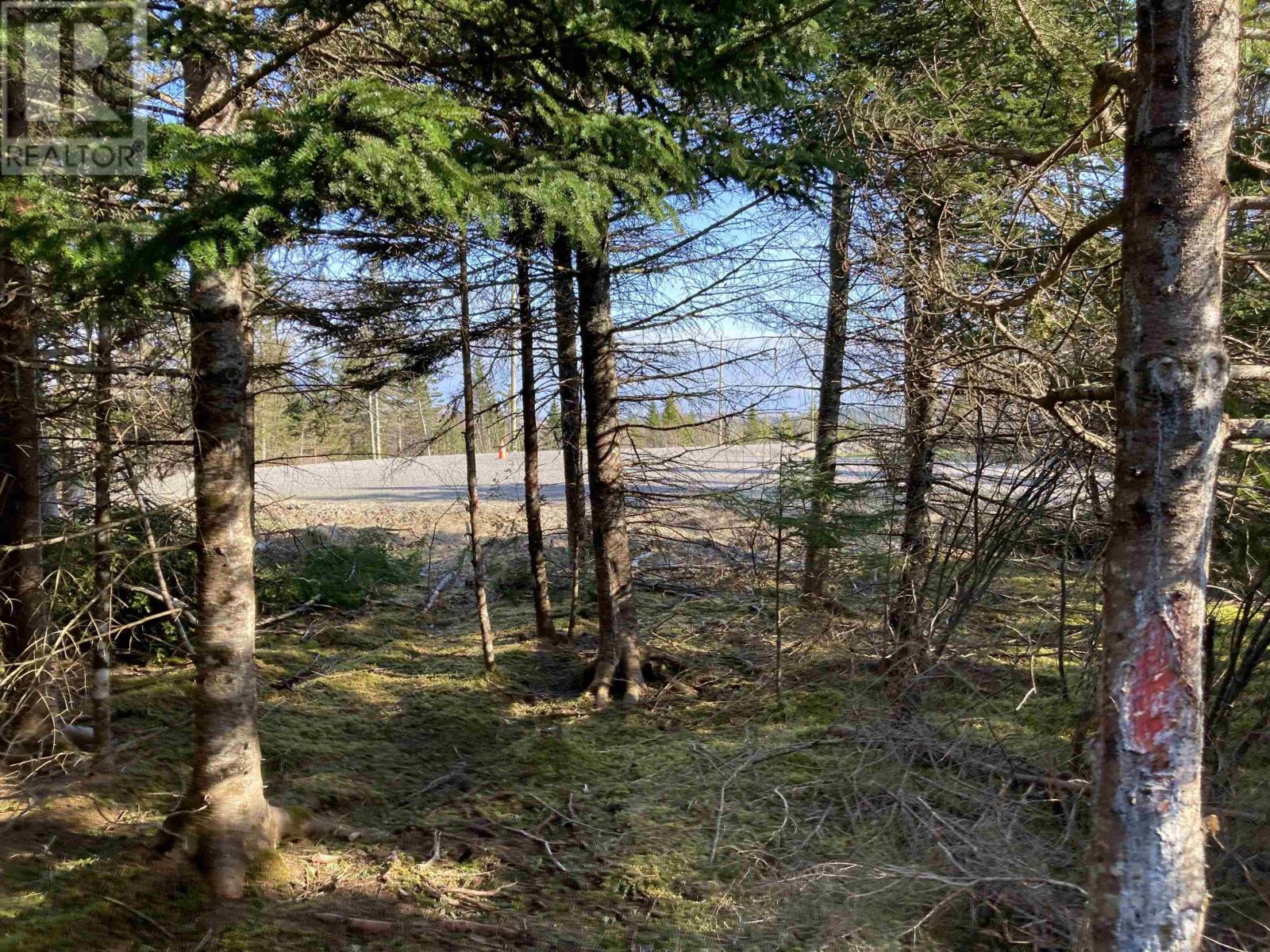 Lot 21-9 Mary Cecelia Ridge, Antigonish County, Nova Scotia  B0H 1P0 - Photo 2 - 202509474