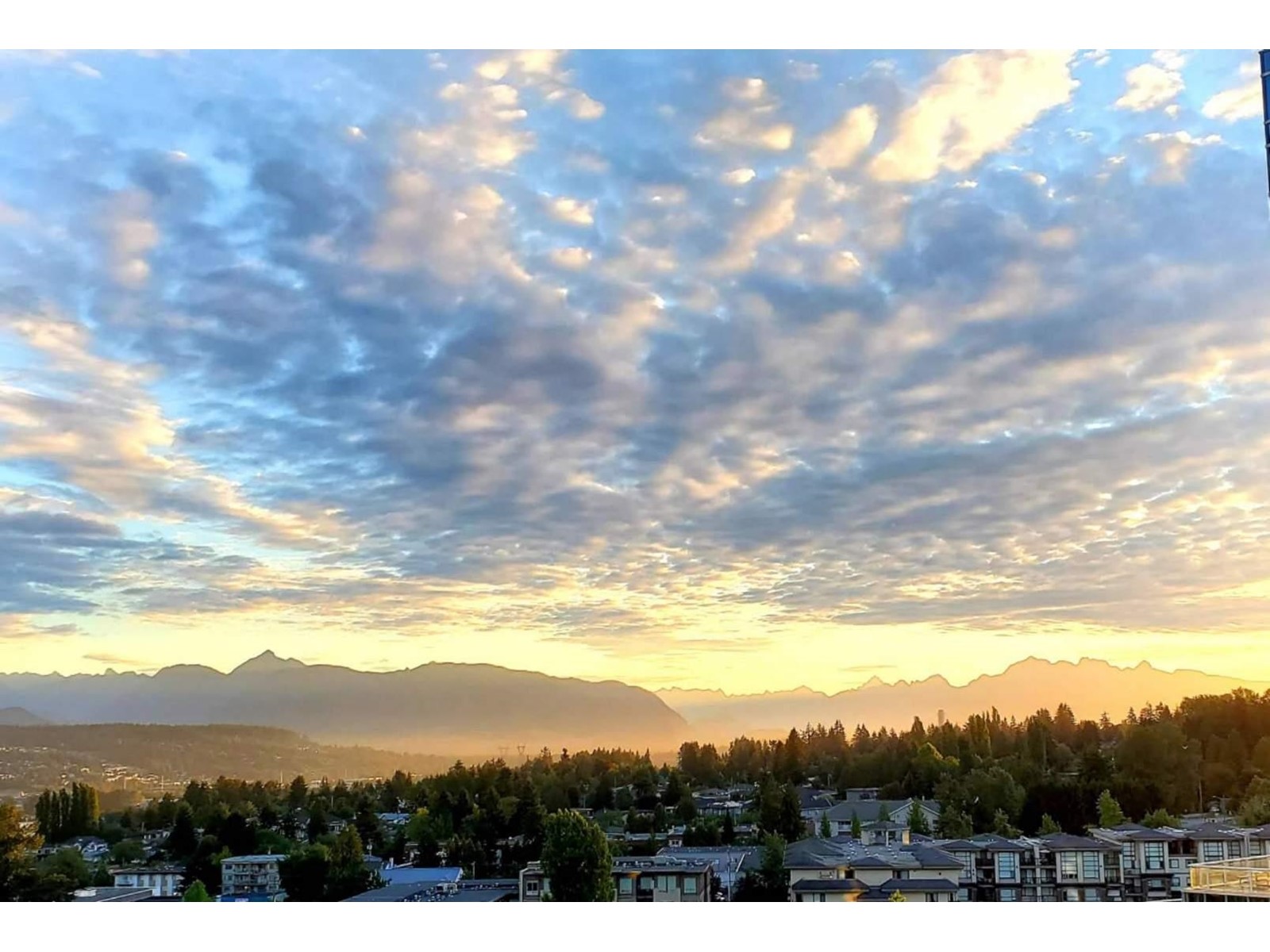 1301 13383 108 Avenue, Surrey, British Columbia  V3T 5T6 - Photo 38 - R2997905