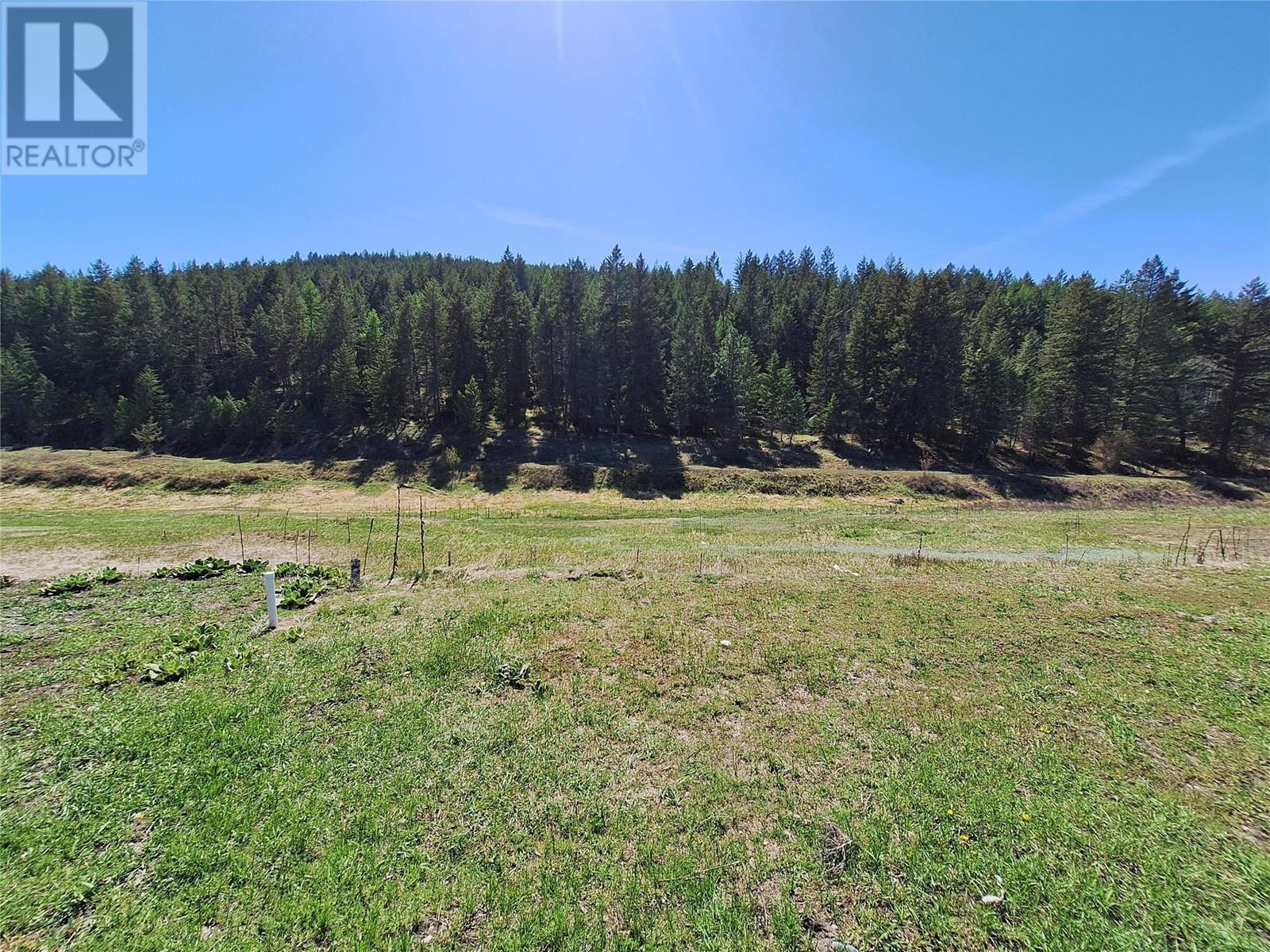 Lot 30 Laurier Avenue, Wardner, British Columbia  V0B 2J0 - Photo 4 - 10340679