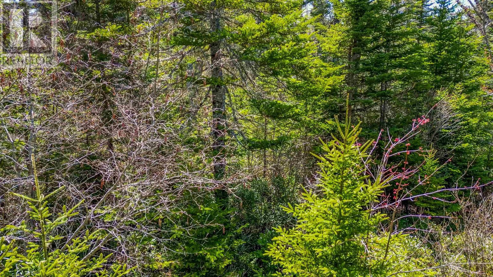 Lot 21 Somerset Drive, East Sable River, Nova Scotia  B0T 1V0 - Photo 9 - 202509812