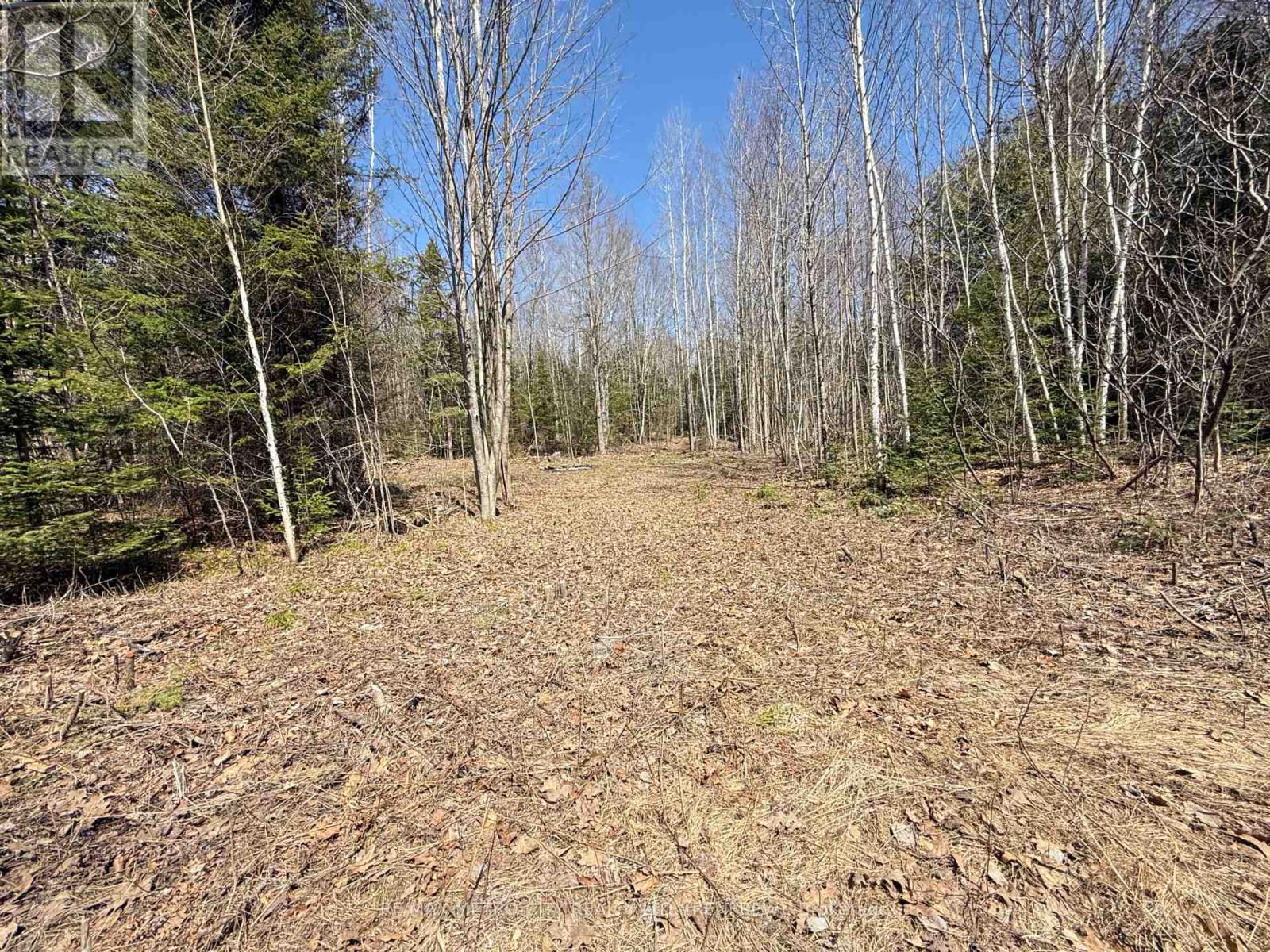 00 GARDEN OF EDEN ROAD, horton, Ontario