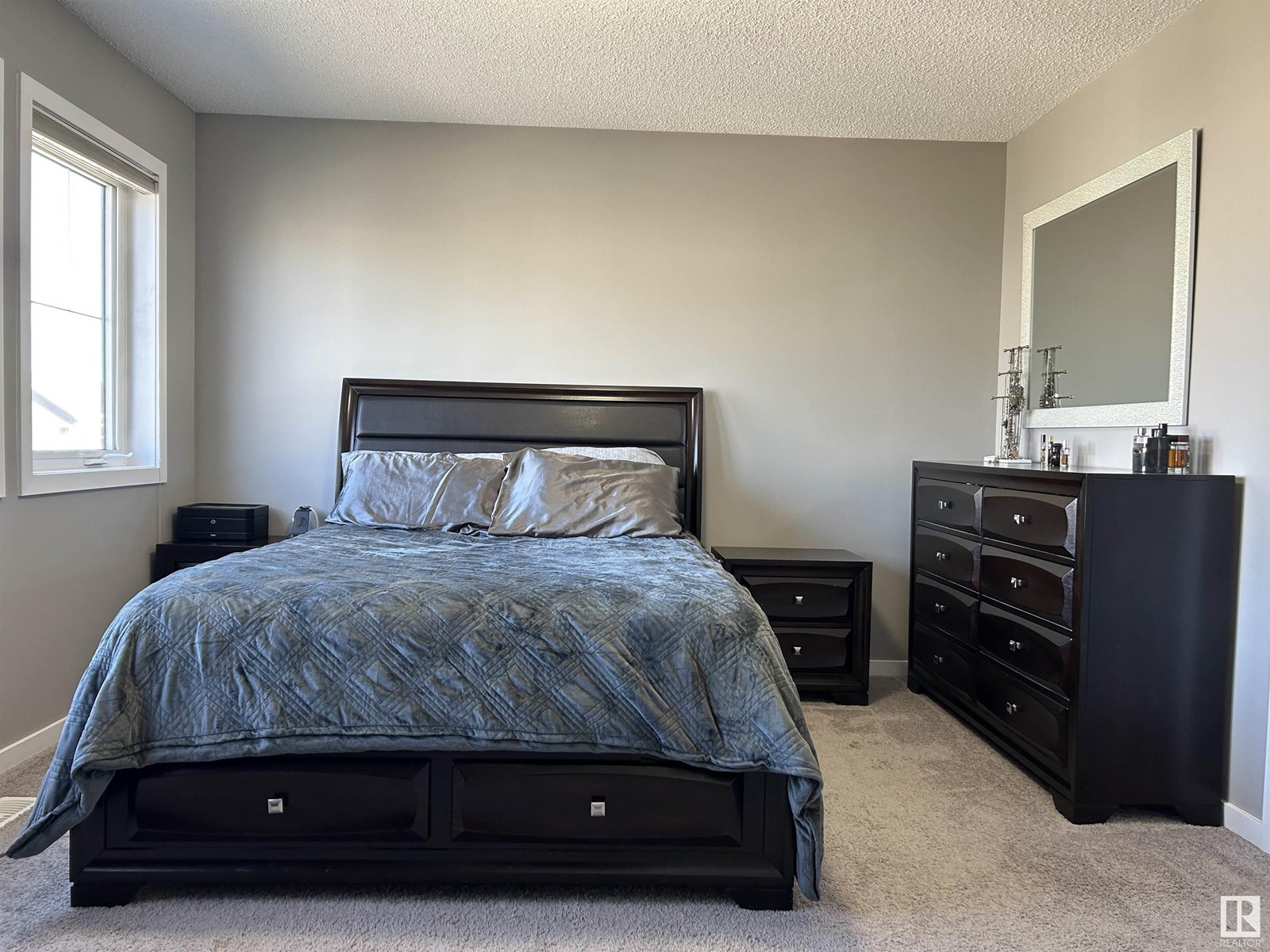 2227 78 St Sw, Edmonton, Alberta  T6X 0Z2 - Photo 17 - E4434504